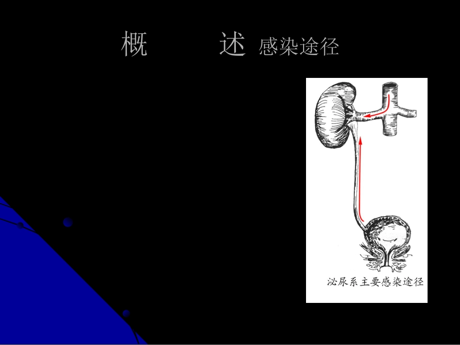 泌尿科-泌尿、男性生殖系统感染_第6页
