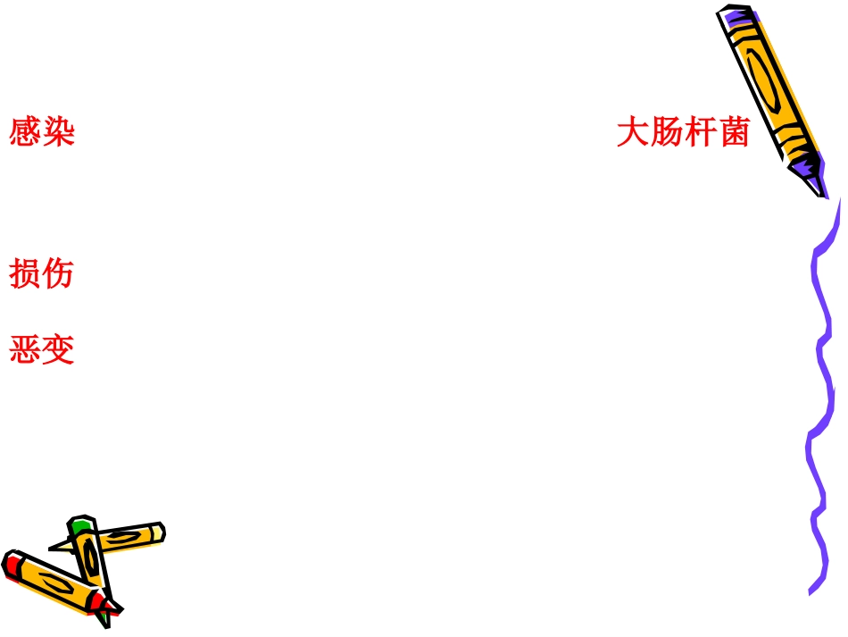 泌尿科-泌尿系结石病人的护理_第11页