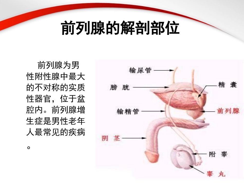 男科-前列腺_第5页