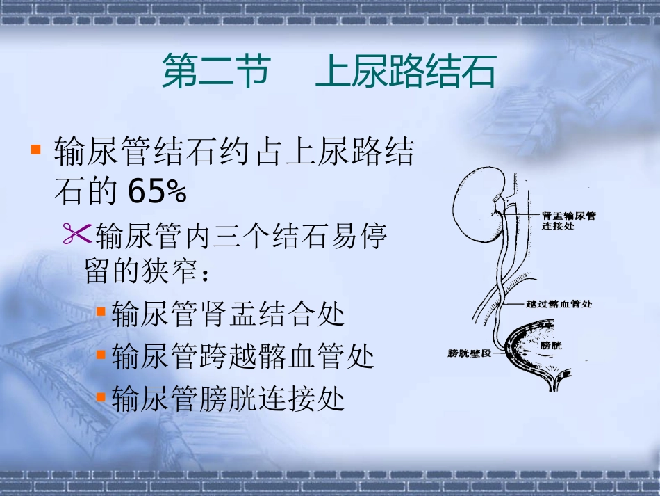 泌尿科-尿石症_第14页