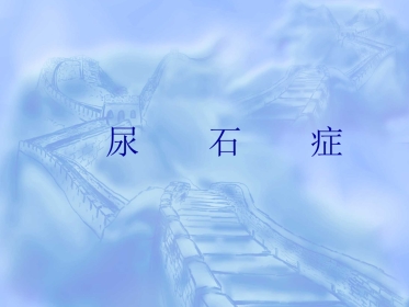 泌尿科-尿石症