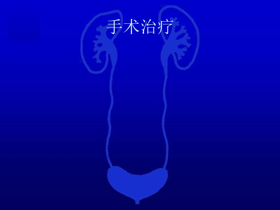 泌尿科-泌尿系统损伤2_第12页