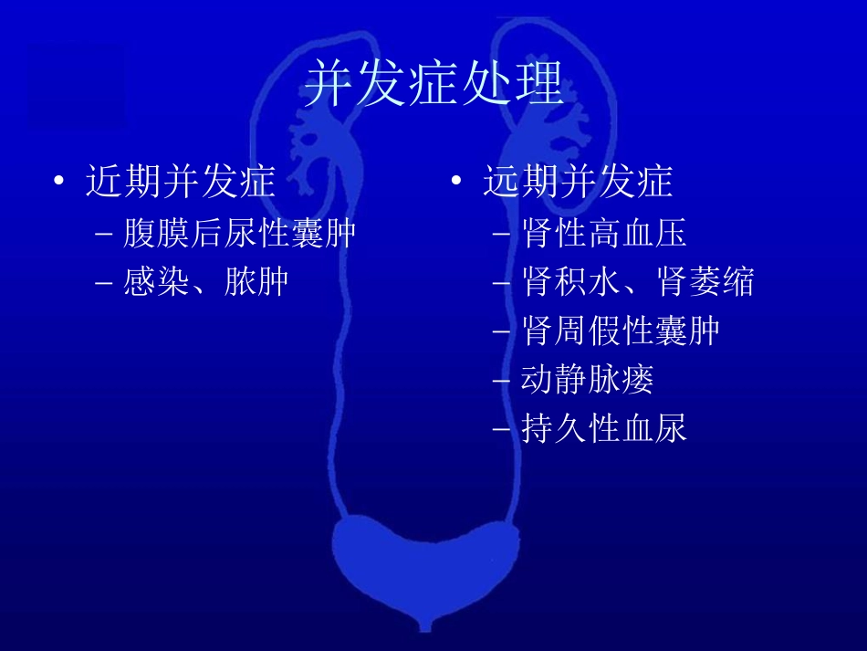 泌尿科-泌尿系统损伤2_第13页