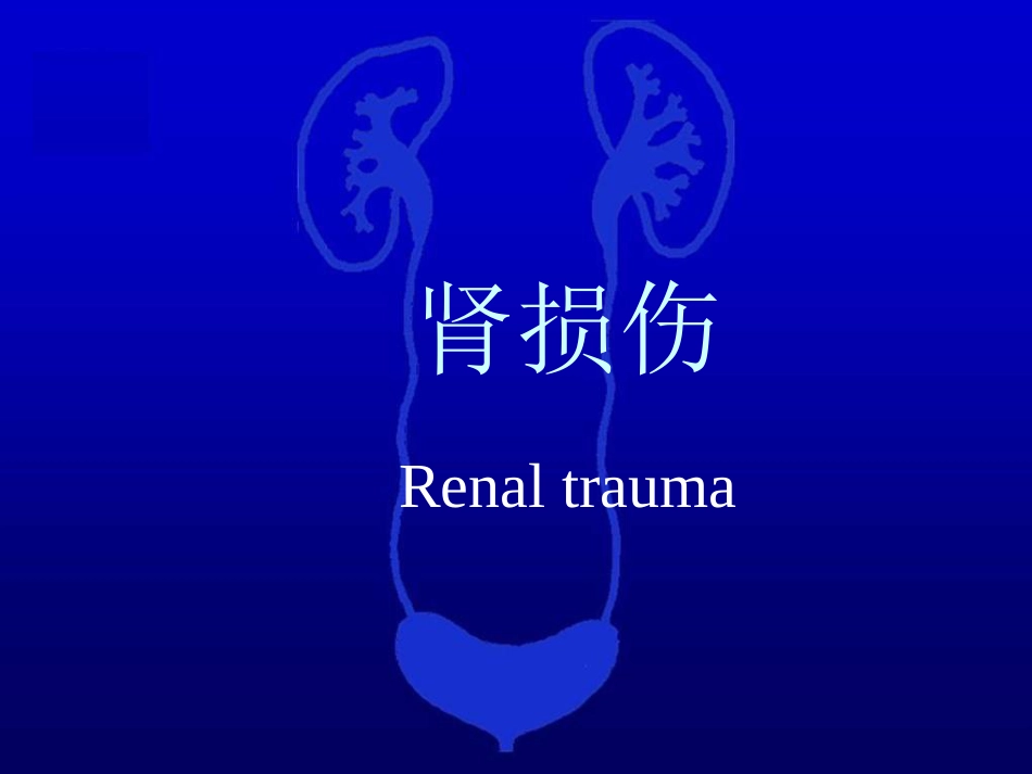 泌尿科-泌尿系统损伤2_第4页