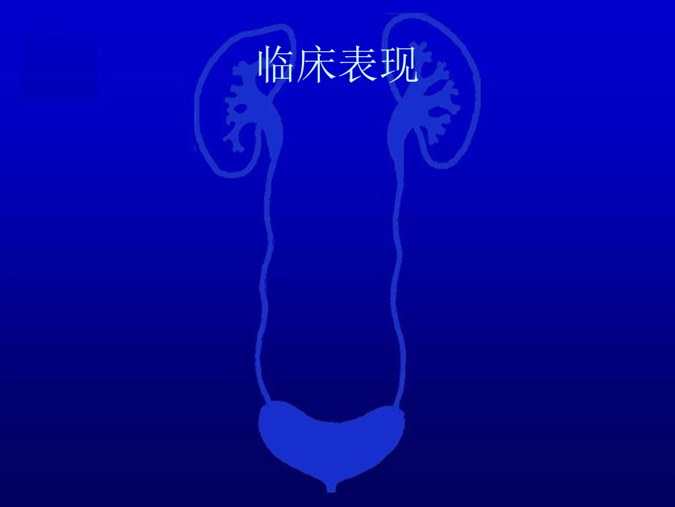 泌尿科-泌尿系统损伤2_第8页