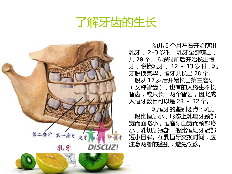 口腔牙齿基本知识_第7页