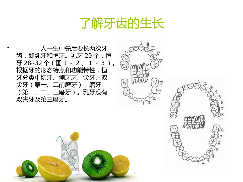 口腔牙齿基本知识_第8页