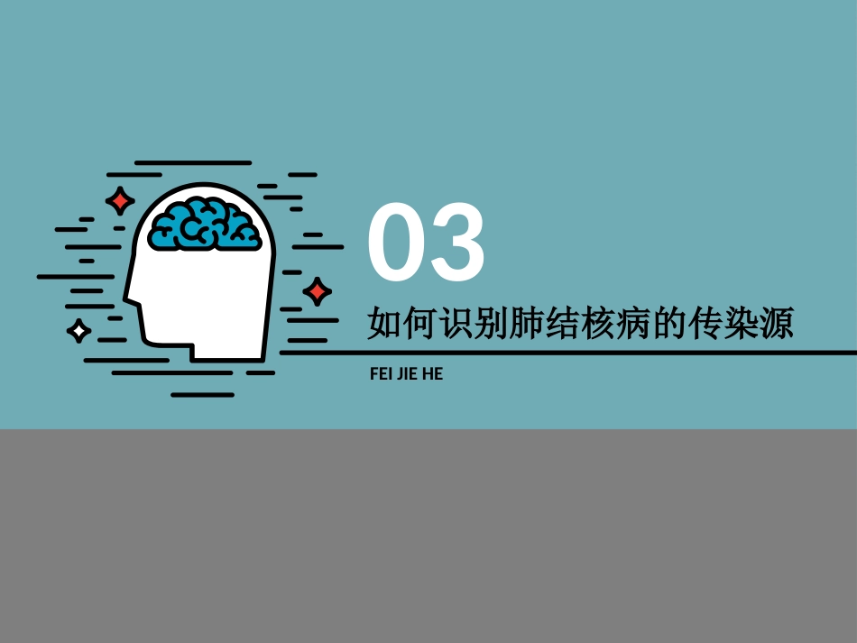 肺结核防治(3)_第12页