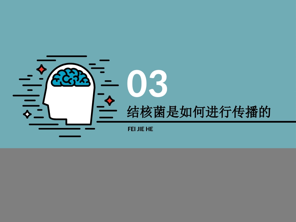 肺结核防治(3)_第14页
