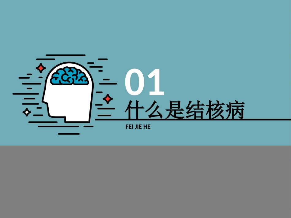 肺结核防治(3)_第4页