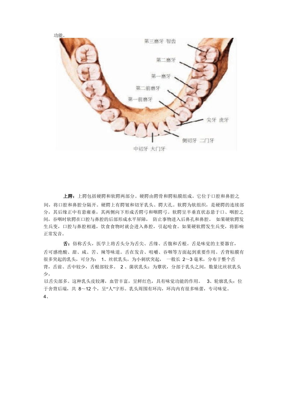 -口腔知识大全_第2页