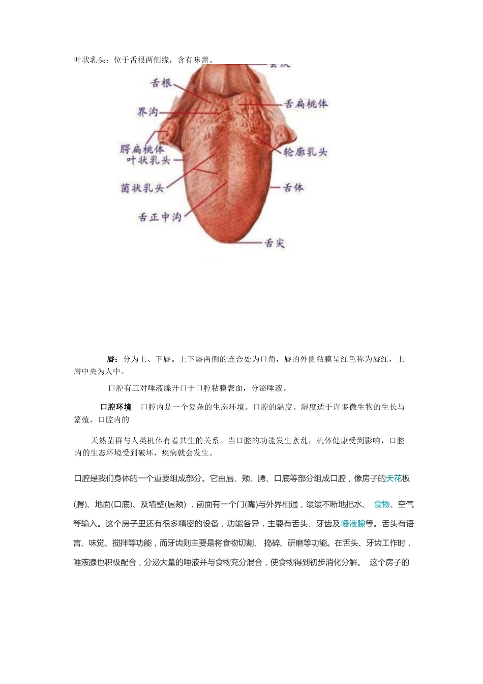 -口腔知识大全_第3页