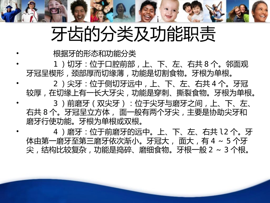 牙齿基础知识_第11页