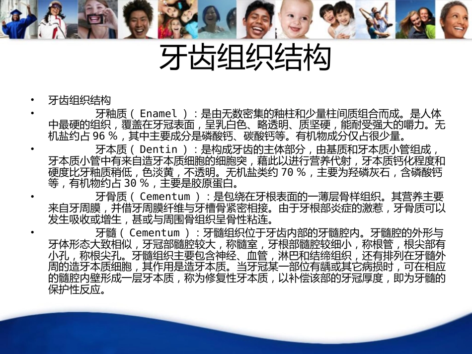 牙齿基础知识_第6页