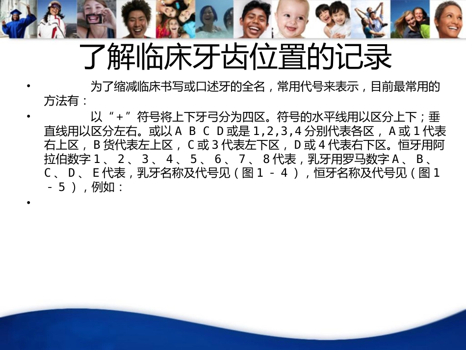 牙齿基础知识_第9页