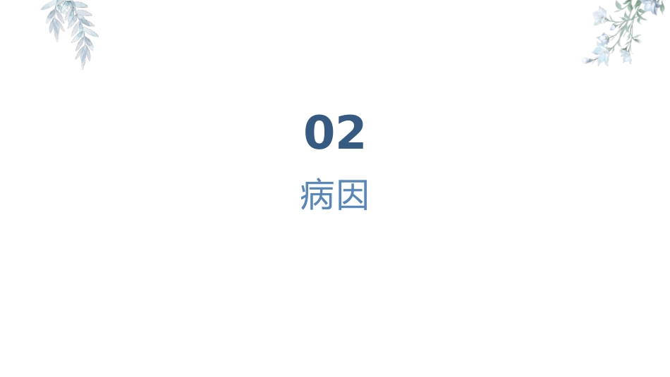 骨科颈椎病患者健康教育_第5页