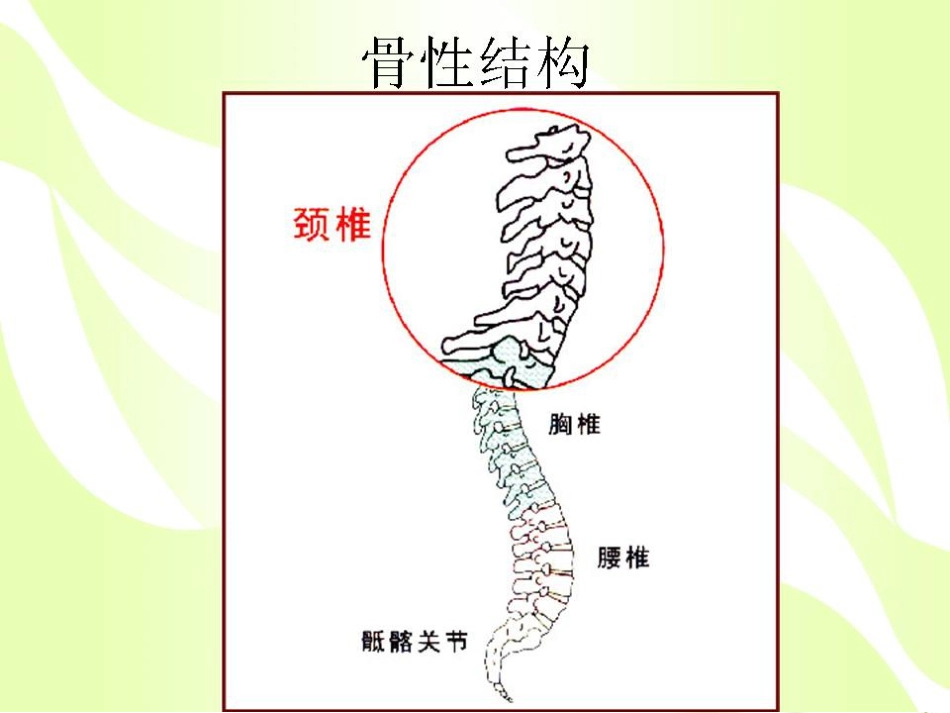 健康的颈椎源于生活习惯_第3页