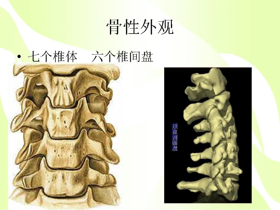 健康的颈椎源于生活习惯_第4页