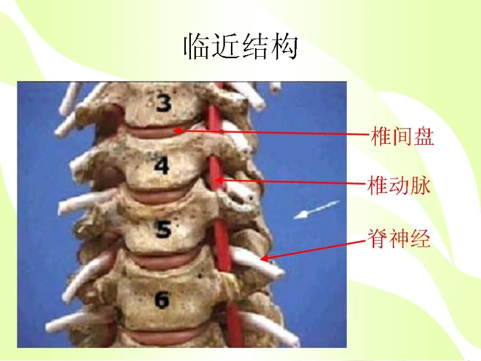 健康的颈椎源于生活习惯_第5页