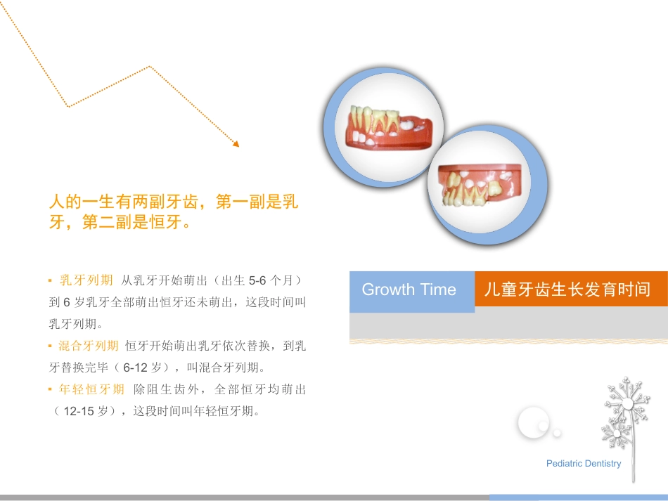 10-儿童齿科_第2页