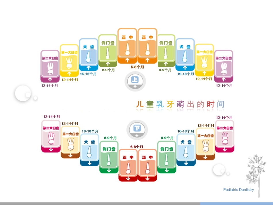 10-儿童齿科_第3页