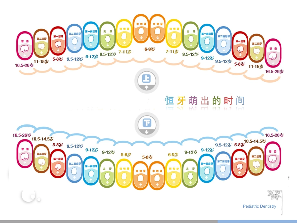 10-儿童齿科_第4页