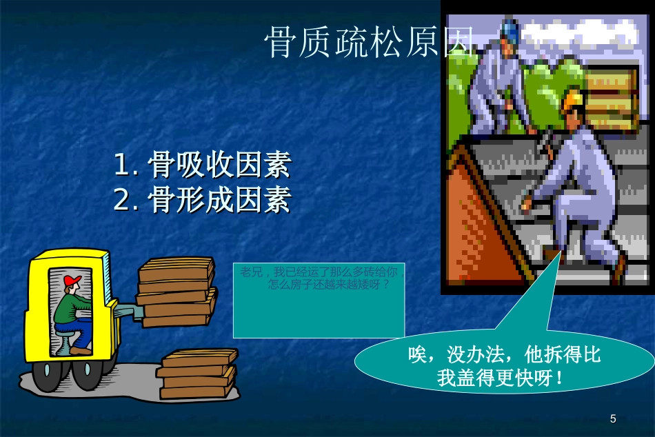 骨科-骨质疏松症ppt_第5页