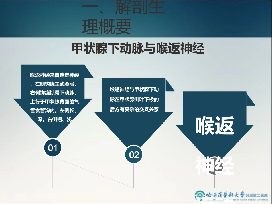 骨科-颈部疾病_第10页