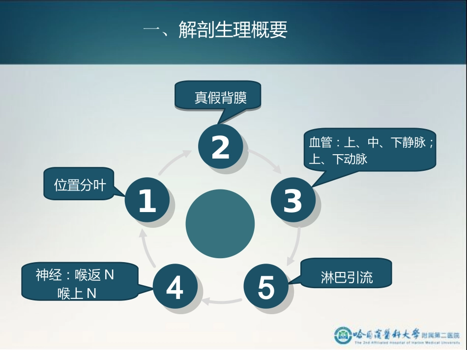 骨科-颈部疾病_第5页