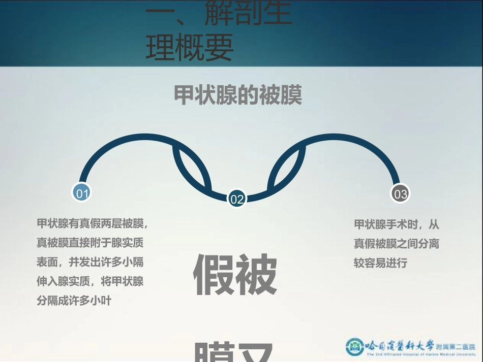 骨科-颈部疾病_第7页