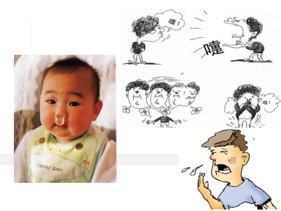 耳鼻喉科 -鼻炎和鼻窦炎_第4页