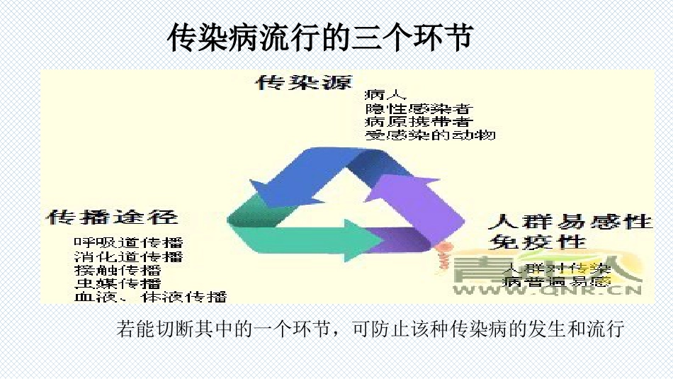 传染病科普知识_第12页