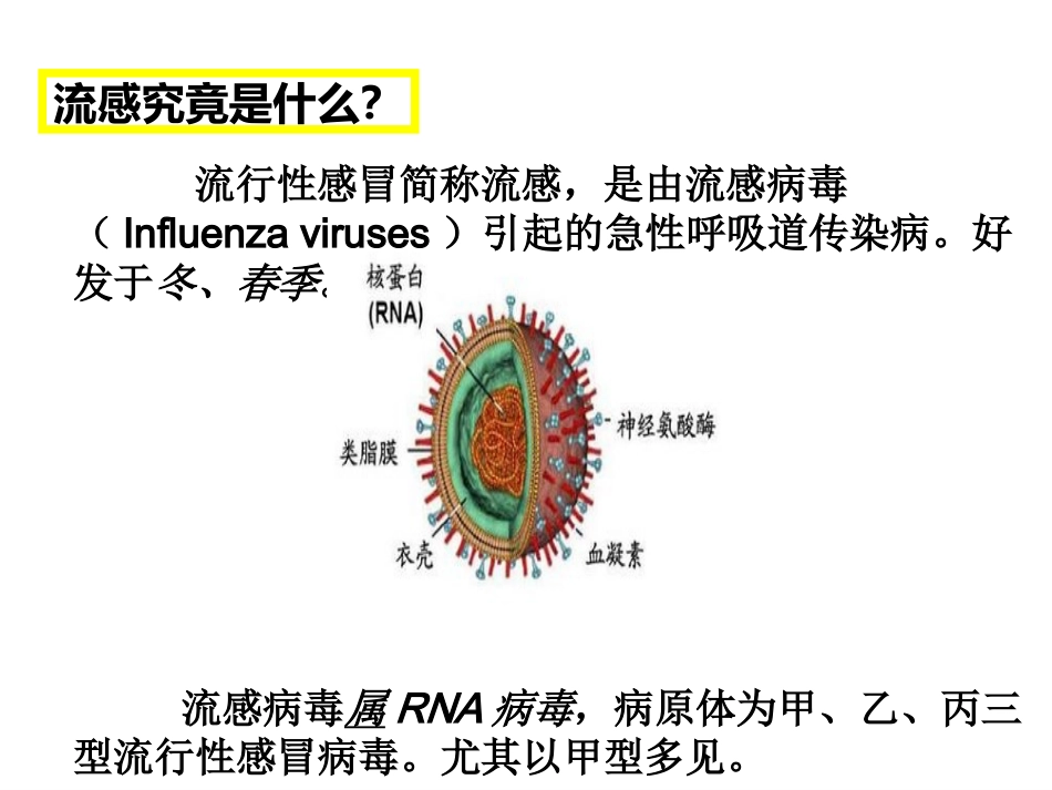预防流感知多少_第3页