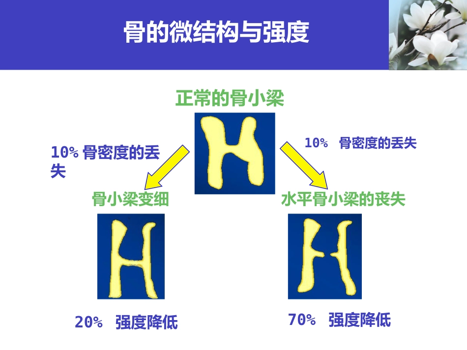 骨质疏松科普知识_第12页