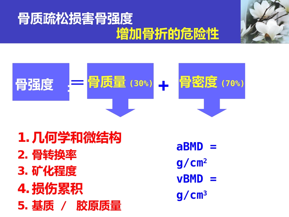 骨质疏松科普知识_第13页