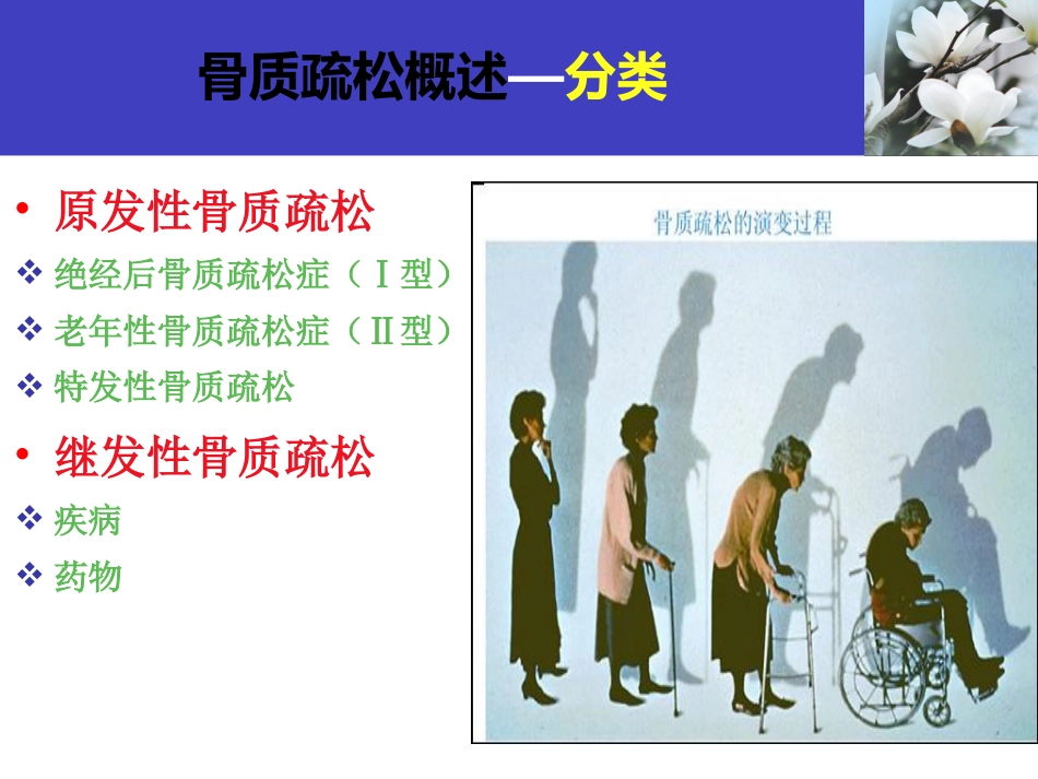 骨质疏松科普知识_第14页