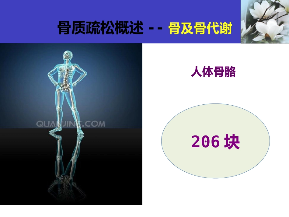 骨质疏松科普知识_第2页