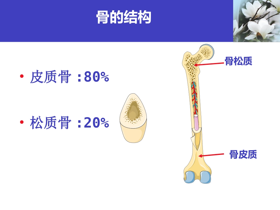 骨质疏松科普知识_第3页