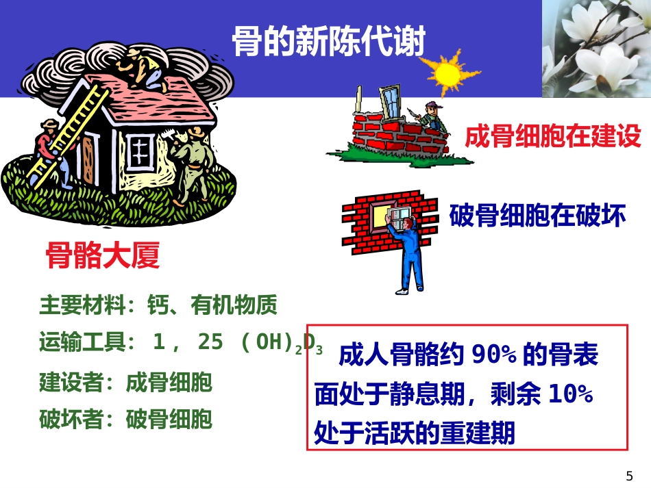 骨质疏松科普知识_第5页