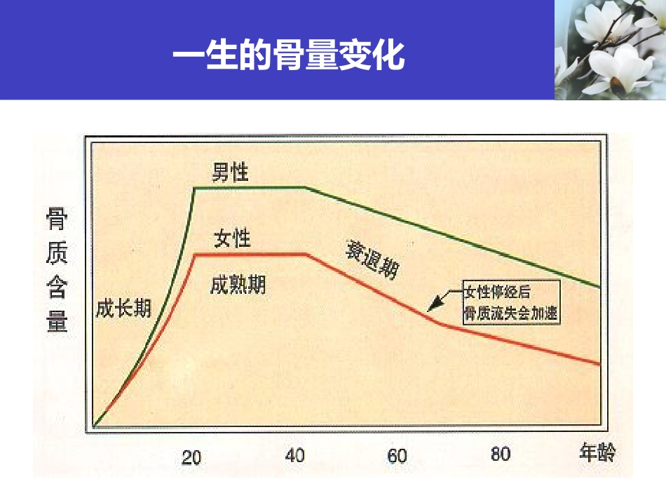 骨质疏松科普知识_第8页