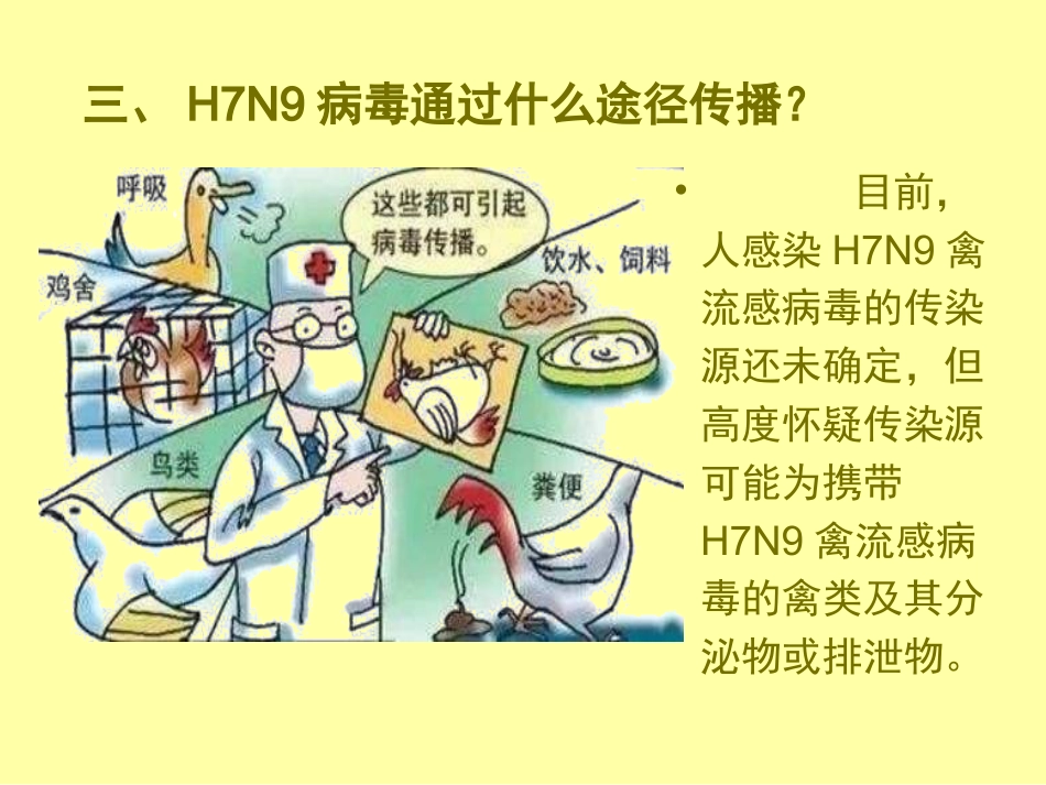 预防H7N9疫情_第6页