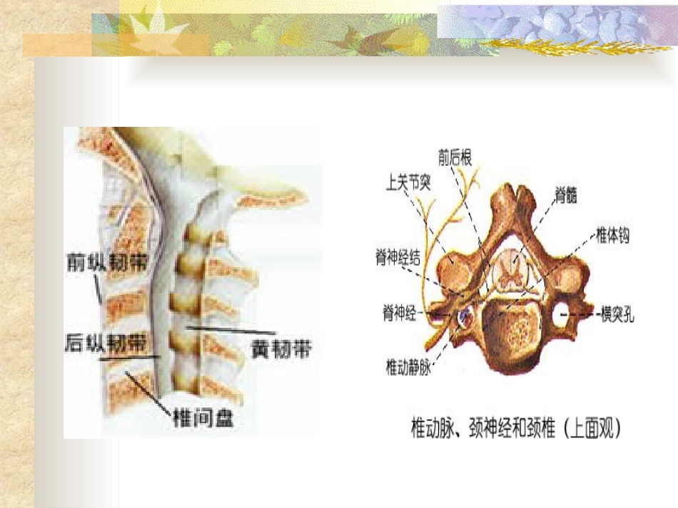 如何预防颈椎病_第3页