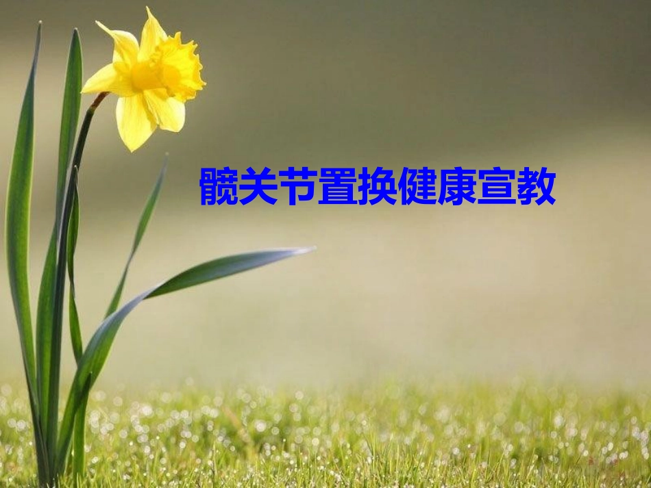 髋关节置换健康宣教1_第1页