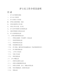 护士长工作介绍及说明