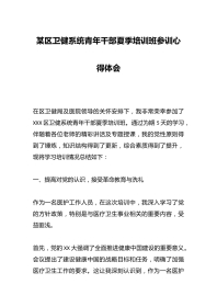 某区卫健系统青年干部夏季培训班参训心得体会