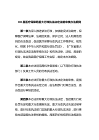 XX县医疗保障局重大行政执法决定法制审核办法细则