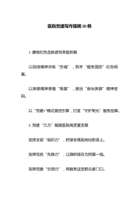 医院党建写作提纲30例