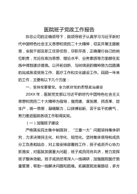 医院班子党政工作报告