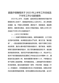 县医疗保障局关于XX年上半年工作总结及下半年工作计划的报告