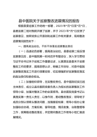 县中医院关于巡察整改进展情况的报告